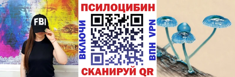 Псилоцибиновые грибы мухоморы  даркнет сайт  Заринск 