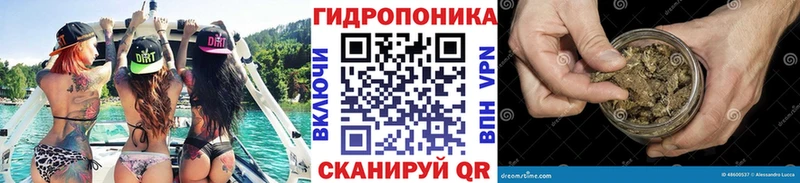 OMG ONION  Заринск  МАРИХУАНА гибрид 